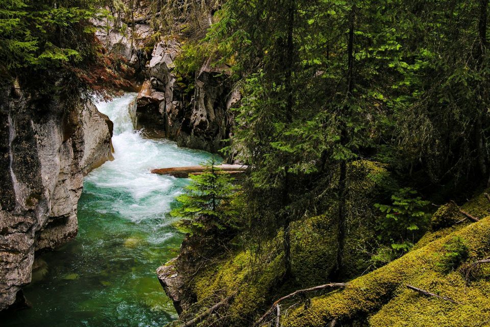 A turquoise river with white rapids flows through a rocky gorge surrounded by dense green forest and moss-covered rocks.