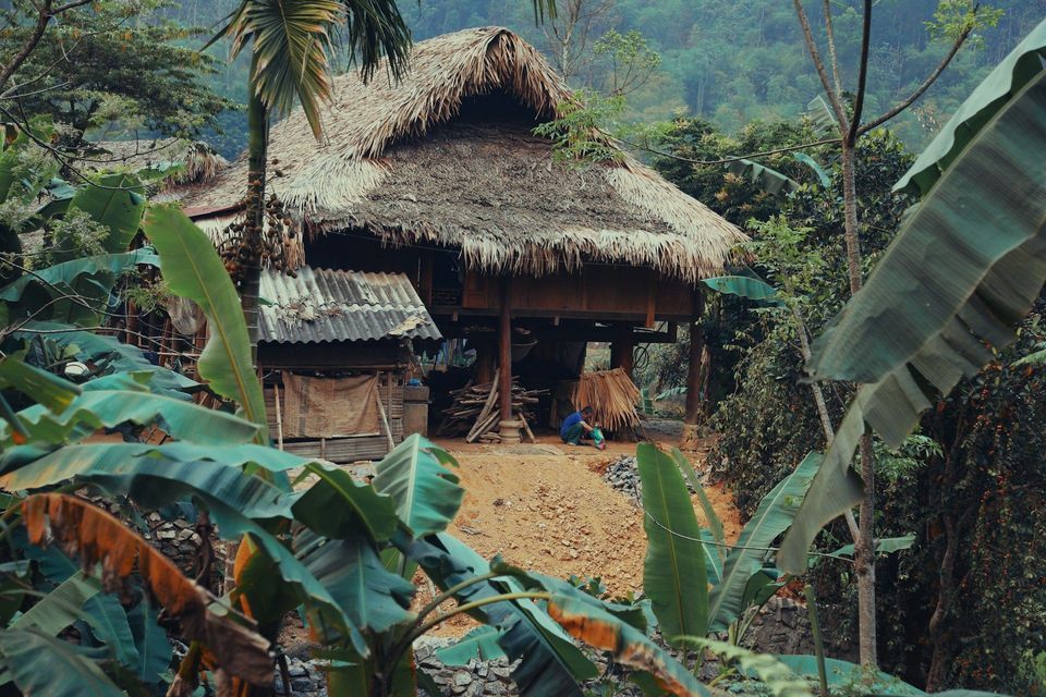 Una tradizionale casa su palafitte con tetto di paglia, circondata da fitta vegetazione della giungla, con una persona seduta a terra nelle vicinanze.