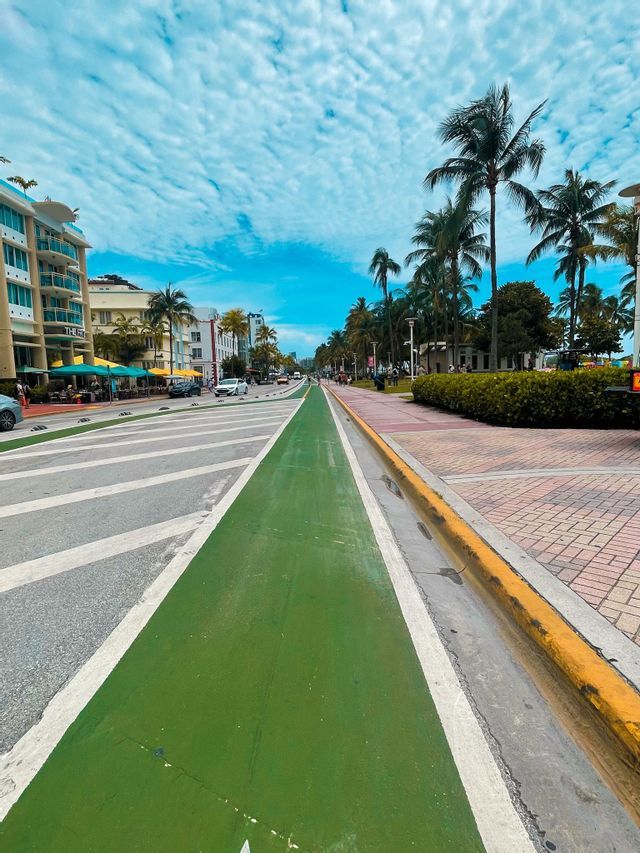 A low-angle view of a green bike lane stretching alongside a road with cars, buildings, and a sidewalk lined with palm trees.
