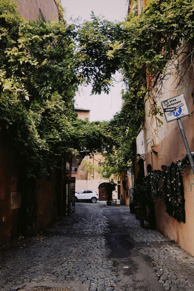 A view down a narrow cobblestone alley with lush green vines forming an arch overhead, leading to a parked white car.