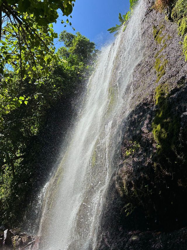 Ein Wasserfall stürzt eine moosbewachsene Felswand hinab, umrahmt von üppig grünen Bäumen vor einem klaren blauen Himmel.