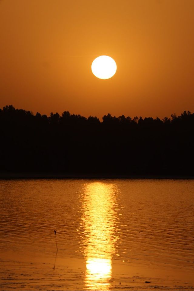 Eine strahlende Sonne hängt an einem orangefarbenen Himmel über einem silhouettierten Wald, dessen Spiegelung auf dem Wasser schimmert.