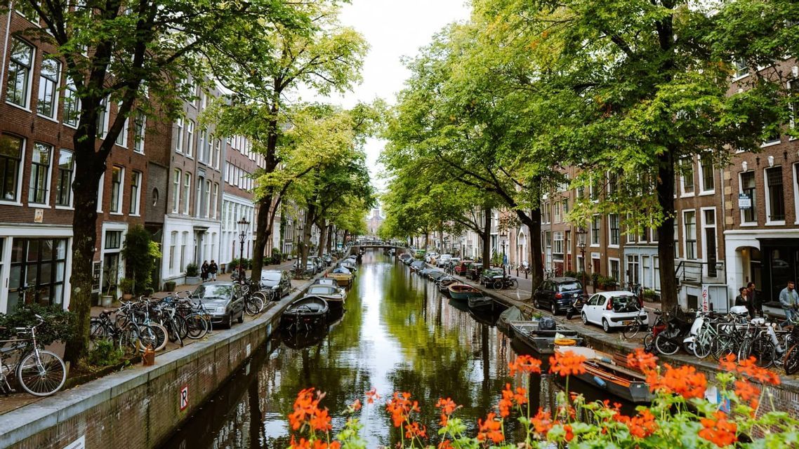 Un canal urbain bordé d'arbres reflète des bâtiments en brique, avec des bateaux, des voitures et des vélos garés le long de ses rives et des fleurs oranges au premier plan.