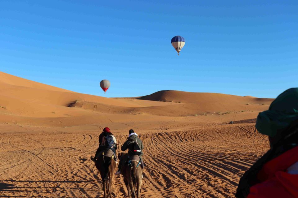 trip morocco desert camel sahara