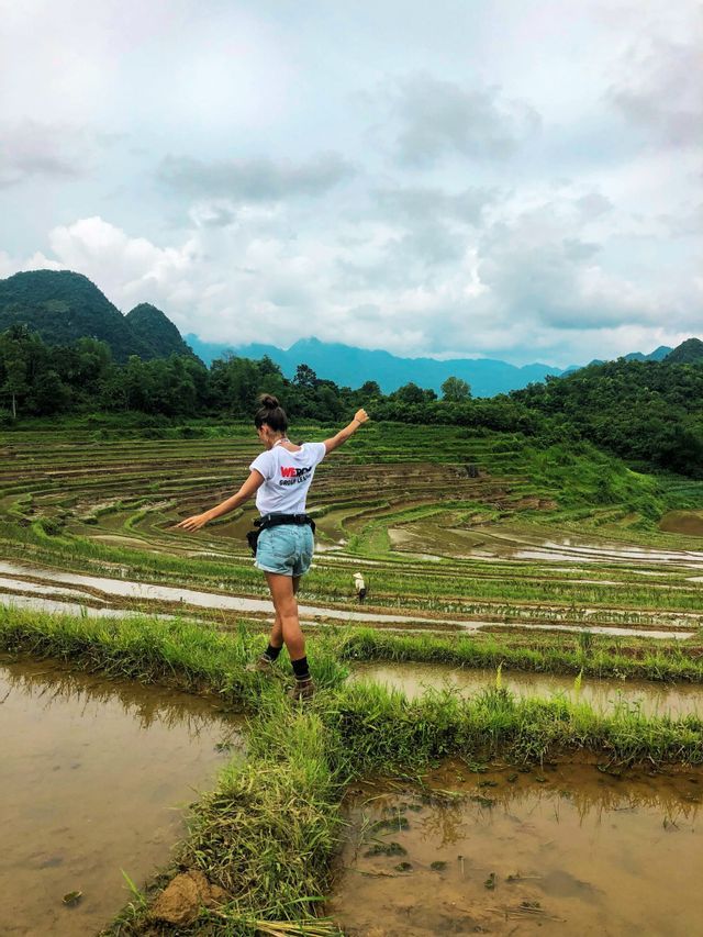 vietnam-risaie-giugno-estate.jpg