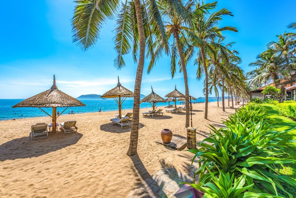 Une plage tropicale ensoleillée avec des parasols en chaume, des chaises longues et une rangée de palmiers le long de l'océan bleu calme.