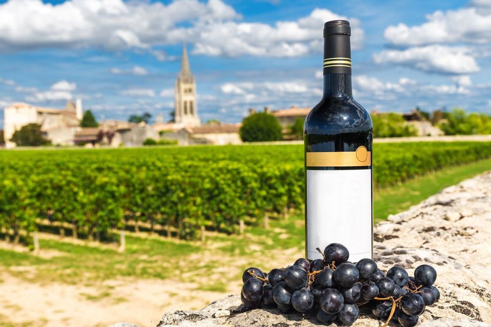 Una bottiglia di vino rosso e un grappolo d'uva nera poggiano su un muro di pietra, con un rigoglioso vigneto verde e un villaggio sullo sfondo.
