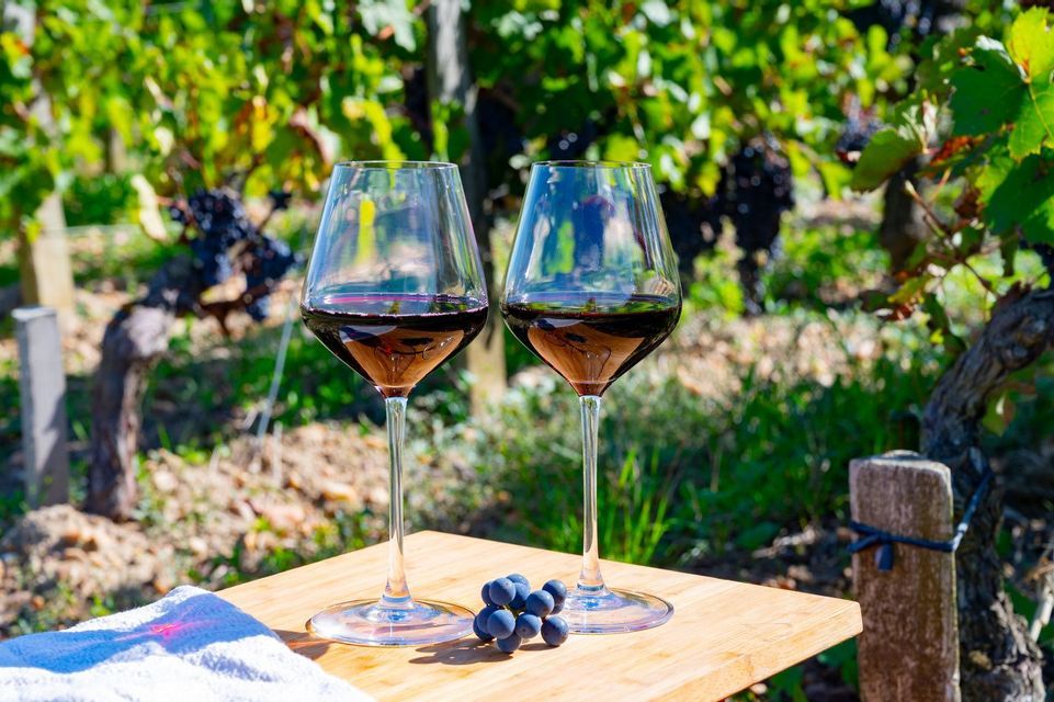 Due bicchieri di vino rosso e un grappolo d'uva che riposano su un tavolo di legno in un vigneto soleggiato.