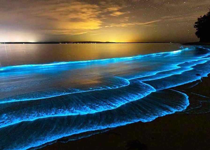 Onde blu bioluminescenti brillanti si infrangono su una spiaggia scura sotto un cielo notturno stellato con le luci della città in lontananza.