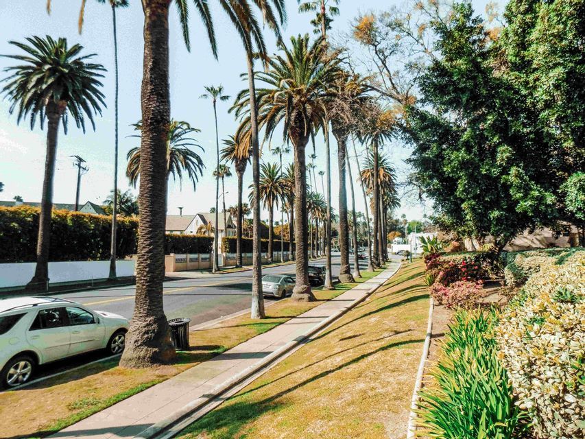 Una calle ancha y soleada flanqueada por altas palmeras, con coches aparcados a lo largo de una acera y una pendiente de césped.