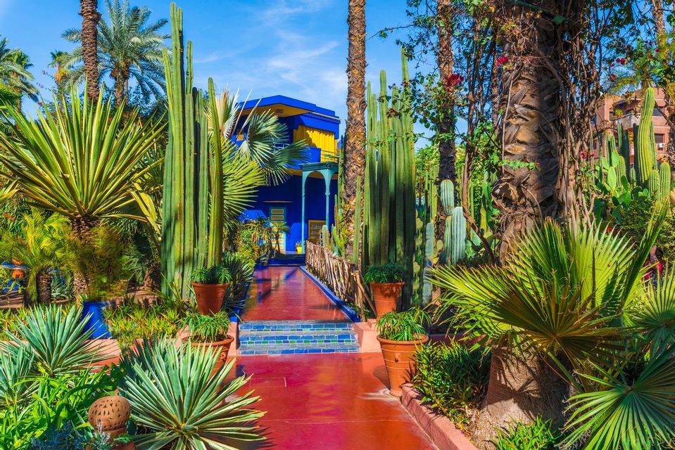 Un vivace edificio blu con accenti gialli si staglia dietro un rigoglioso giardino, ricco di cactus, palme e un sentiero rosso brillante.