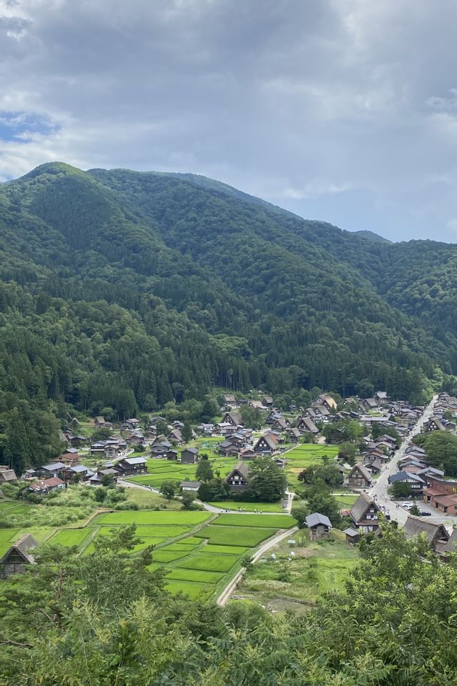 Una vista dall'alto di un villaggio con case tradizionali e risaie verdi ai piedi di una montagna boscosa.