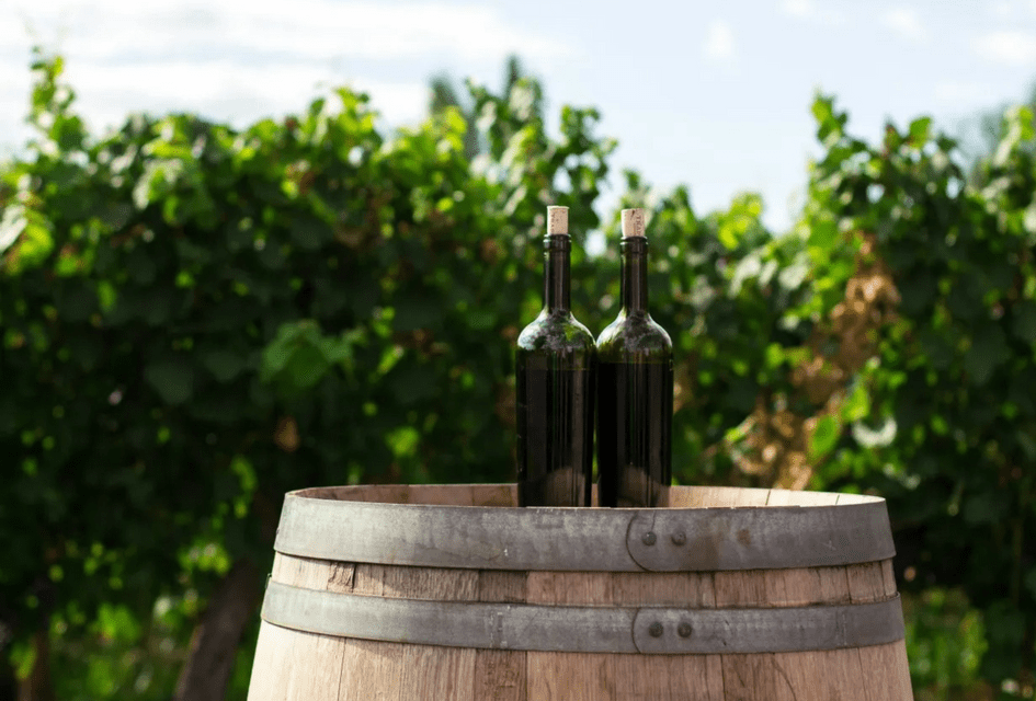 Due bottiglie di vino con tappi in sughero su una botte di legno, con un rigoglioso vigneto verde sullo sfondo.