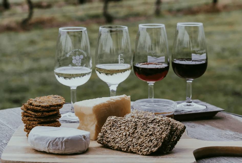 Un tagliere di formaggi e cracker è allestito per una degustazione di vini con bicchieri di vino rosso e bianco all'aperto.