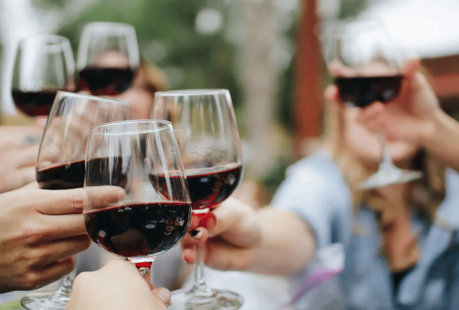 Primo piano di un gruppo WeRoad che brinda con calici di vino rosso durante un incontro all'aperto.