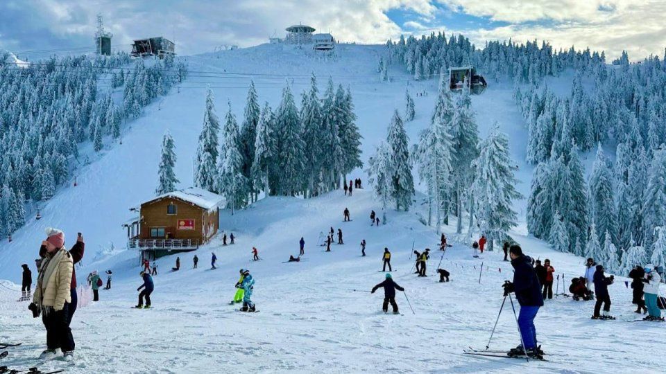 Un viaggio di gruppo WeRoad per sciare e fare snowboard su una pista affollata circondata da pini innevati.