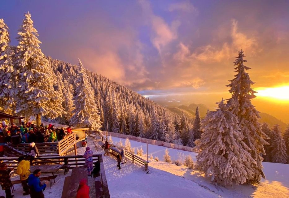 Un viaggio di gruppo WeRoad si è riunito su una terrazza di legno in una località montana innevata, osservando un tramonto colorato sulle foreste di pini.