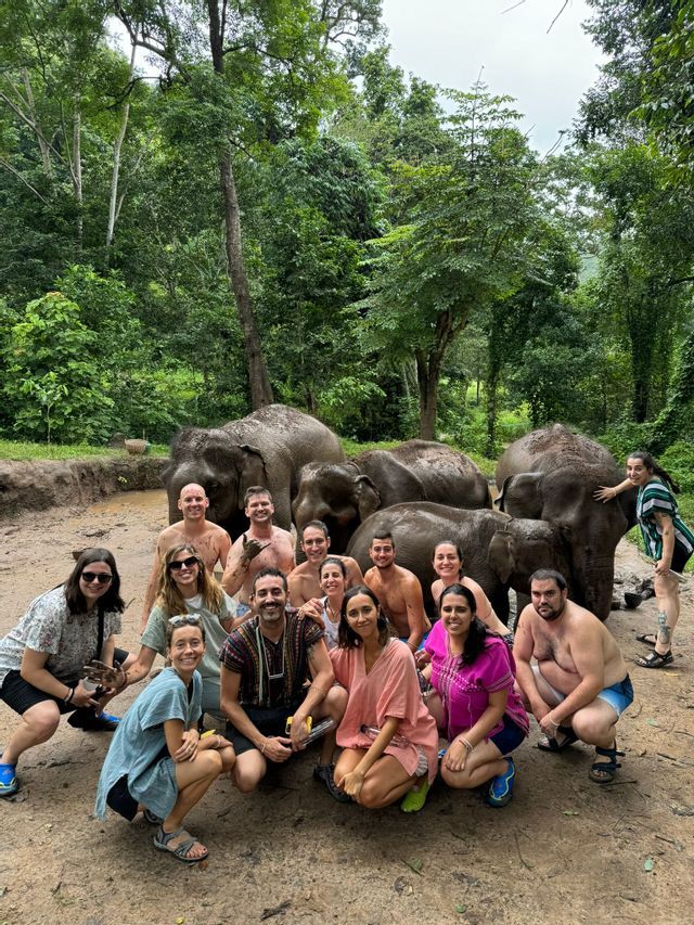 A WeRoad group trip poses for a group photo with several muddy elephants in a jungle clearing.
