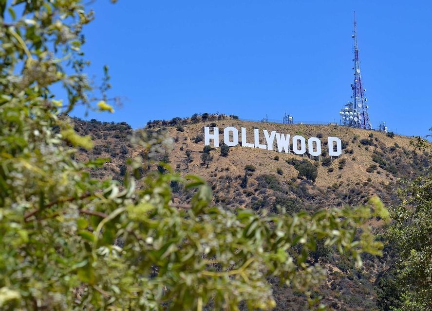 Le panneau Hollywood sur une colline ensoleillée avec une tour radio, vu à travers un feuillage vert flou sur un ciel bleu clair.