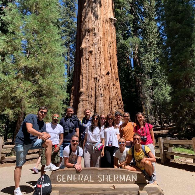 Un viaje en grupo de WeRoad posando para una foto frente al gigante General Sherman Tree en un denso bosque.