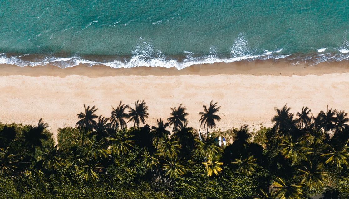 An aerial, top-down view of turquoise waves washing onto a sandy beach bordered by a line of green palm trees.