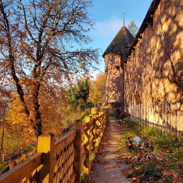 Ein sonnenbeschienener Weg, bedeckt mit Herbstblättern, führt an einer hohen Steinmauer mit einem Türmchen und einem Holzzaun entlang.