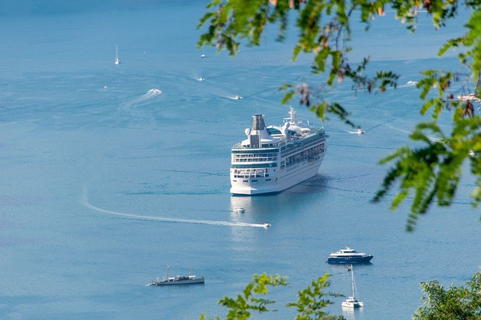 Una grande nave da crociera bianca ancorata in acque blu calme, circondata da varie barche più piccole e vista dall'alto attraverso foglie verdi.