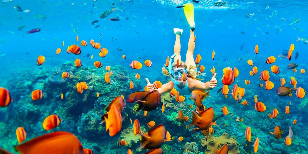 Une personne avec un masque de plongée fait un signe de pouce levé en nageant sous l'eau avec un banc de poissons oranges près d'un récif corallien.