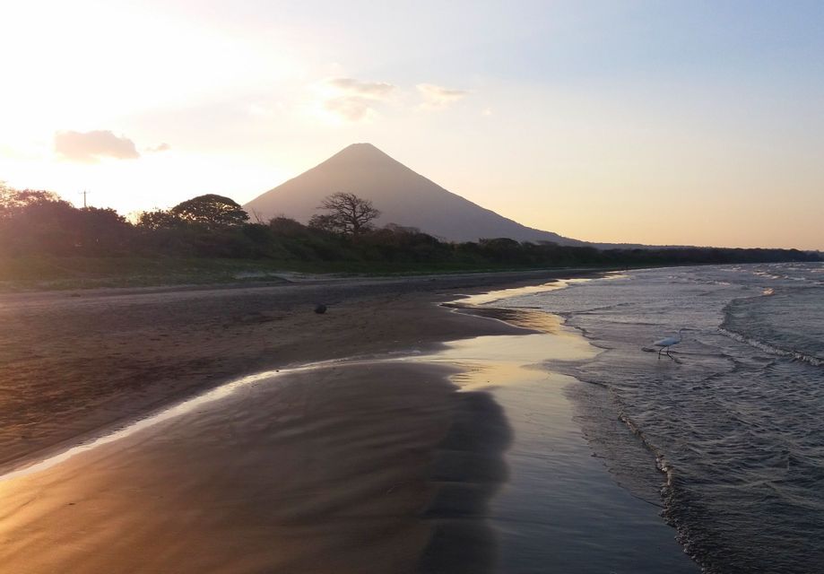 Ein weißer Reiher watet in den flachen Wellen eines dunklen Sandstrandes, wobei sich ein großer Vulkan vor dem Sonnenuntergangshimmel abzeichnet.