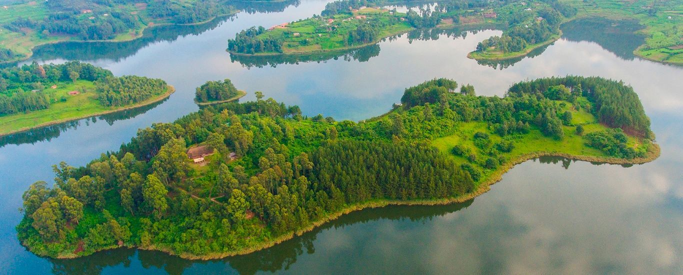 Veduta aerea di isole e penisole verdi e lussureggianti, ricoperte di alberi e circondate da acqua calma e riflettente.