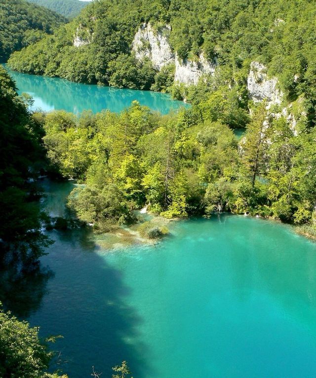An elevated view of a turquoise river winding through a valley with dense green forests and rocky cliffs.