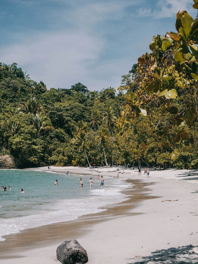 Un viaggio di gruppo WeRoad si gode una giornata di sole su una spiaggia di sabbia bianca, nuotando in acque turchesi accanto a una foresta lussureggiante.