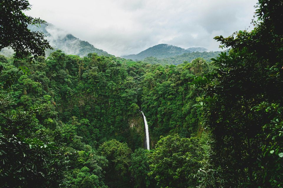 Una cascada alta y estrecha cae por un acantilado en medio de una densa jungla verde, con montañas cubiertas de niebla al fondo bajo un cielo nublado.