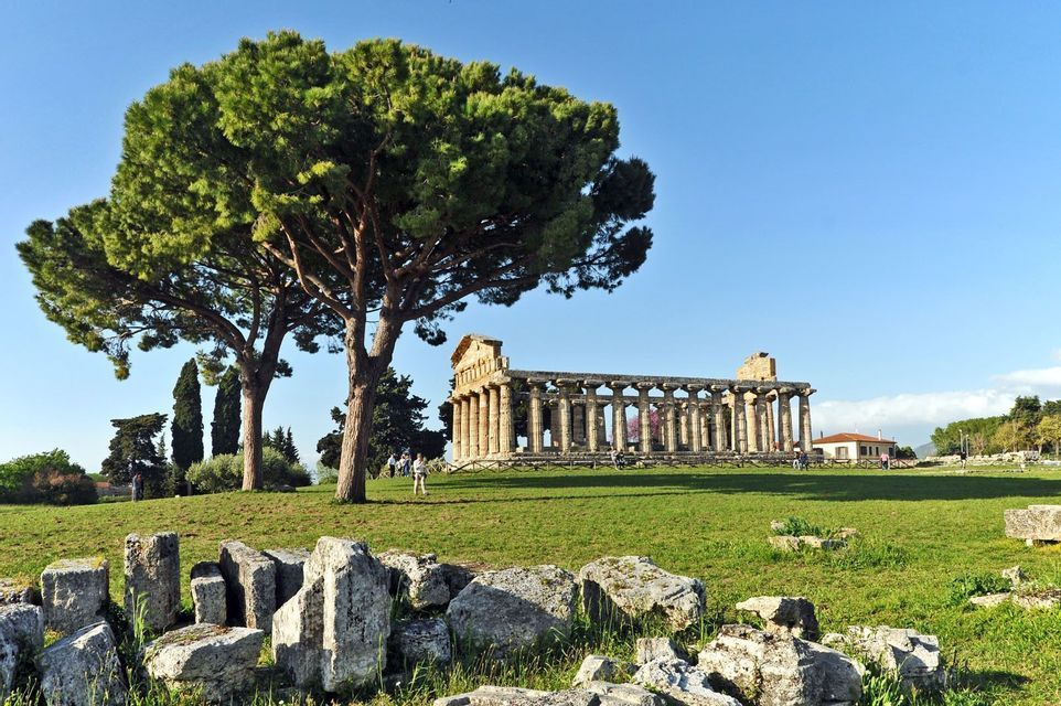 Un ancien temple de pierre avec des colonnes se dresse dans un champ verdoyant, près de deux grands pins, sous un ciel bleu clair.