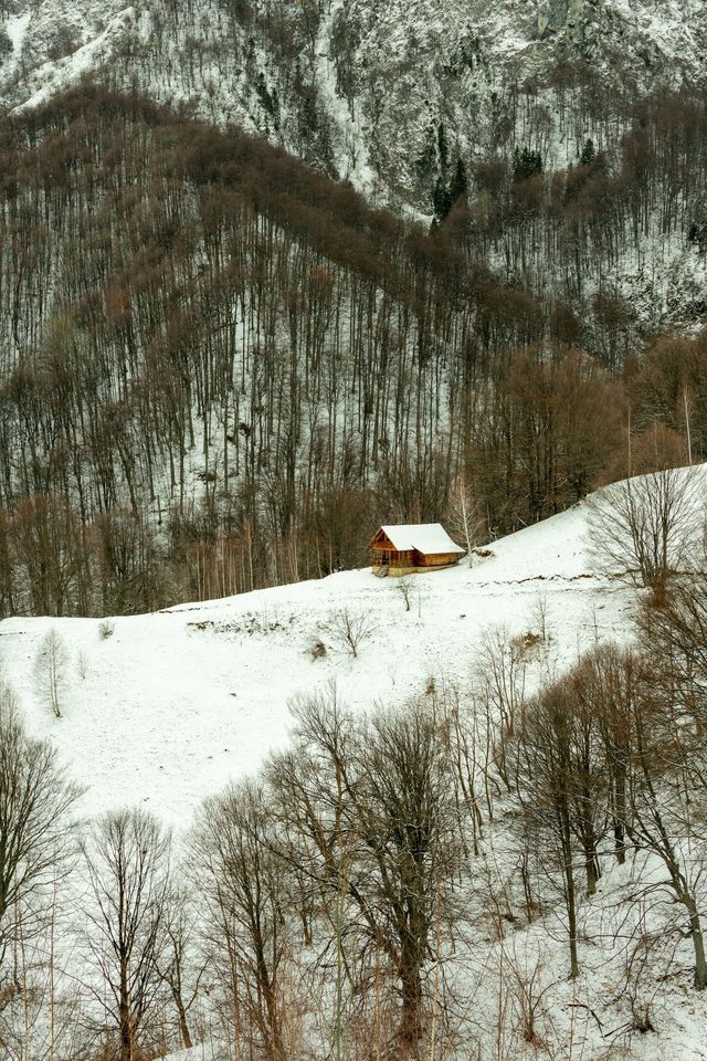 Una baita in legno con il tetto coperto di neve si trova su un fianco di collina innevato circondata da una fitta foresta di alberi spogli.