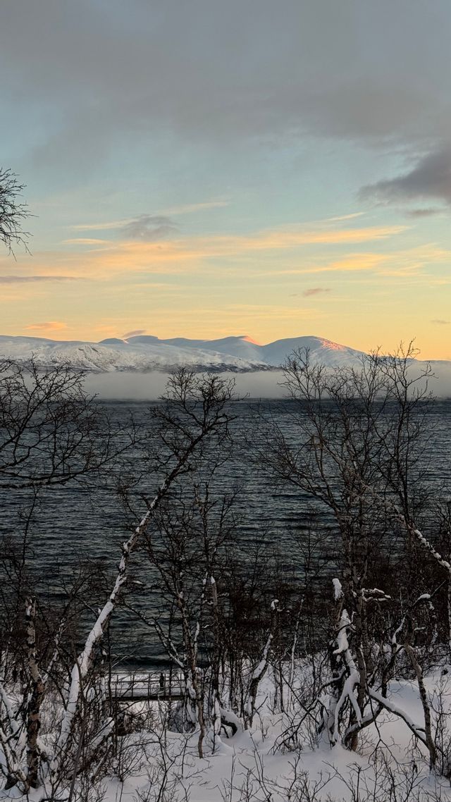 Une vue à travers des arbres dénudés enneigés, un lac sombre et des montagnes enneigées au loin sous un ciel aux couleurs pastel.