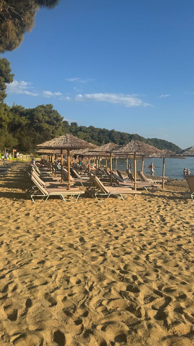 Fila di lettini e ombrelloni di paglia su una spiaggia sabbiosa accanto all'acqua, con una collina ricoperta di alberi sullo sfondo.