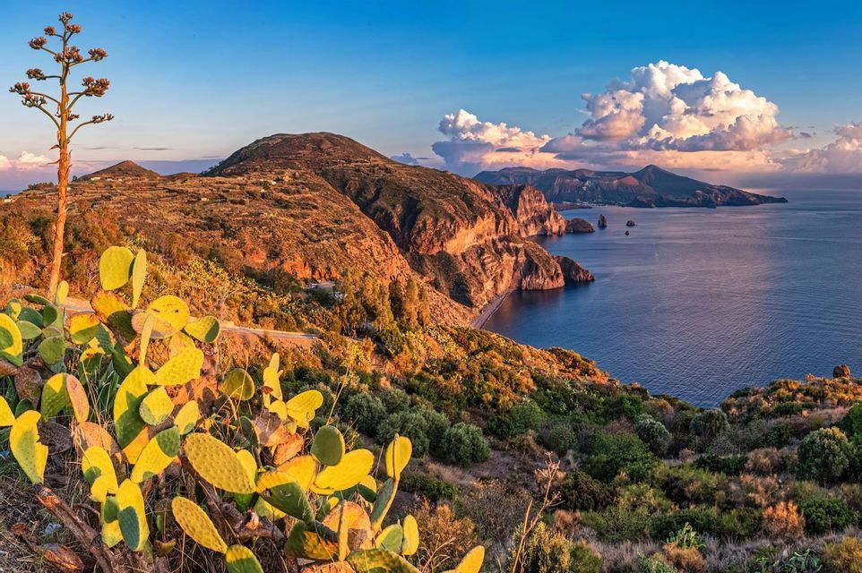 Un fico d'India su una collina che si affaccia su una costa aspra e assolata, con un mare calmo e nuvole in un cielo blu.