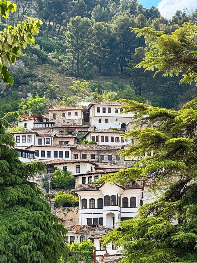 Vue à travers des arbres verts sur des maisons blanches traditionnelles aux toits de tuiles, construites sur une colline luxuriante et escarpée.