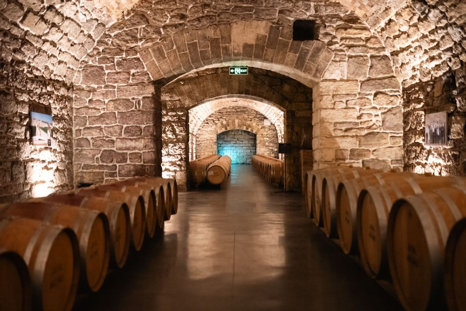 File di botti di vino in legno allineano una lunga cantina in pietra ad arco, illuminata da luci calde.