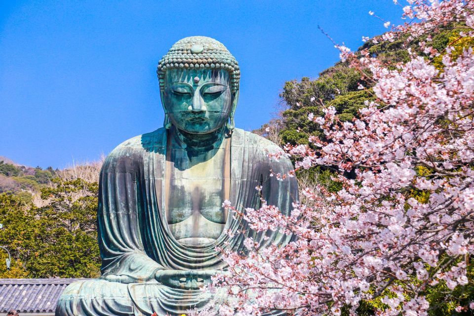 Una grande statua di bronzo di un Buddha seduto è posizionata accanto a rami di ciliegio rosa in fiore sotto un cielo azzurro limpido.