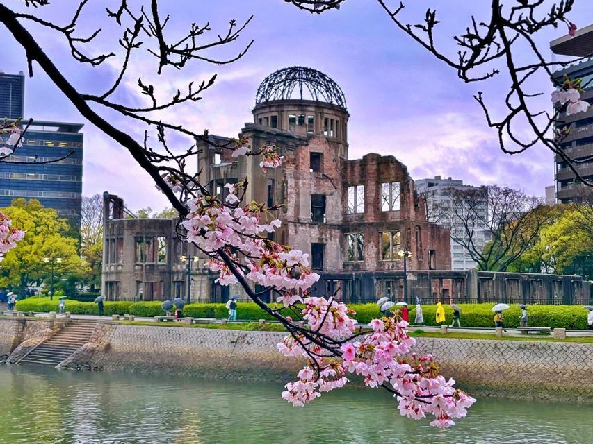 Rami di ciliegio in fiore rosa incorniciano la vista di un edificio in rovina con una cupola scheletrica attraverso un fiume in un parco cittadino.