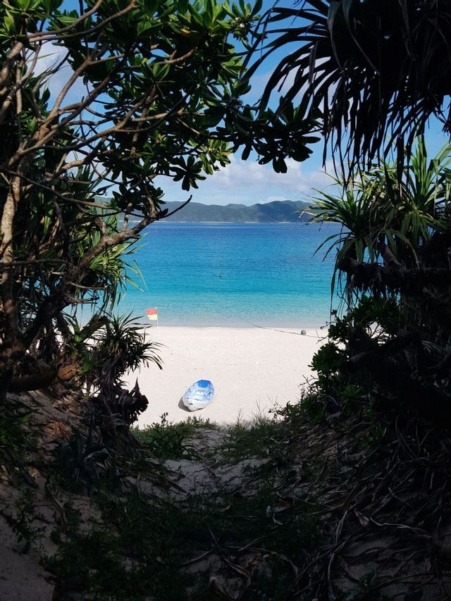 Una vista da un sentiero attraverso alberi lussureggianti rivela un kayak blu e bianco che riposa su una spiaggia di sabbia bianca accanto all'acqua turchese.