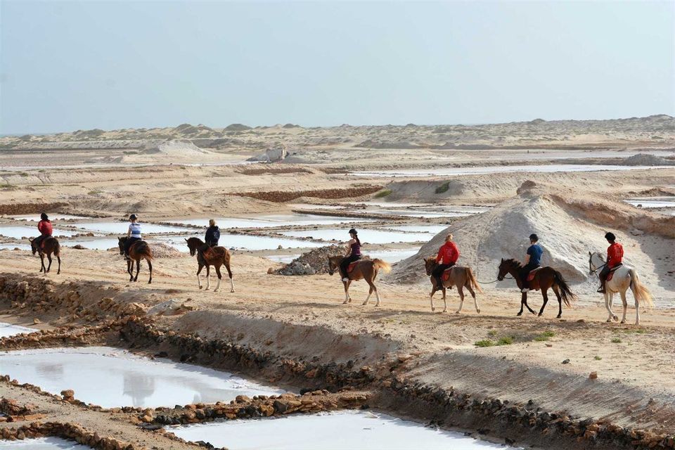 Un viaggio di gruppo WeRoad a cavallo in fila attraverso un paesaggio sabbioso con saline.