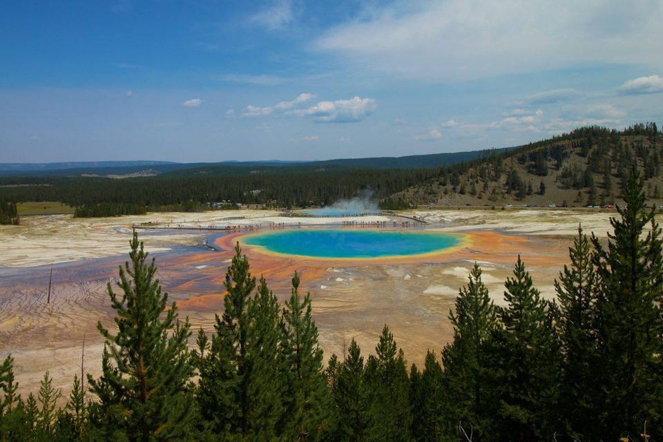 Una vivace sorgente termale blu e arancione emette vapore in una vasta valle, con persone su una passerella e pini in primo piano.