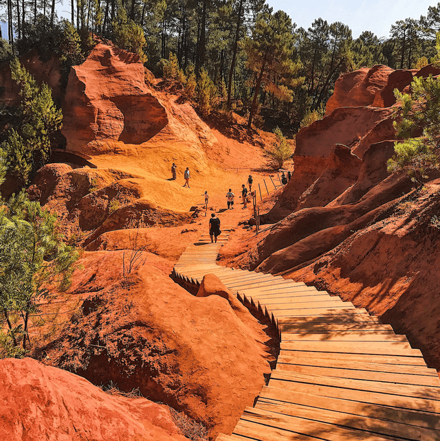 A WeRoad group trip walks down a wooden staircase path through a canyon of red-orange rock and soil, with pine trees above.