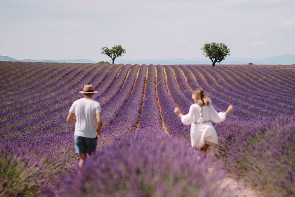 A man and a woman, seen from behind, walking through rolling rows of purple lavender in a large field.