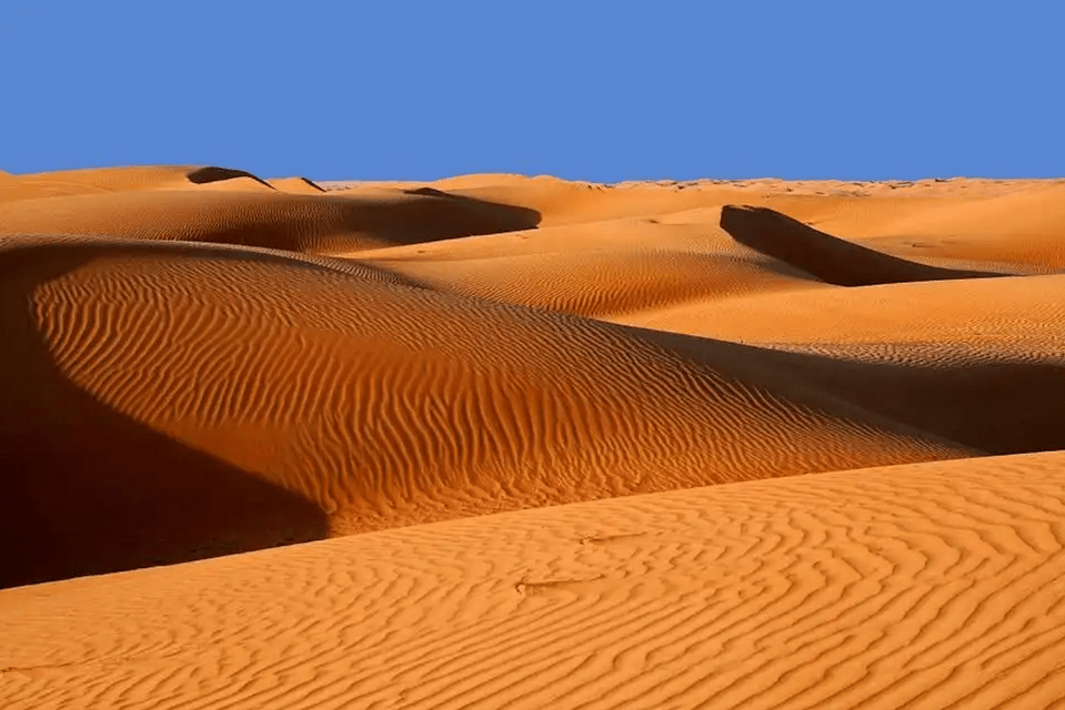 Rolling orange sand dunes with wind-rippled patterns stretch across a desert landscape under a clear blue sky.