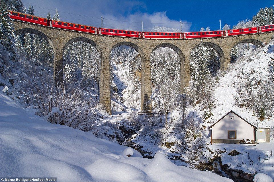 Un lungo treno rosso attraversa un alto viadotto in pietra in un paesaggio montano innevato con pini.