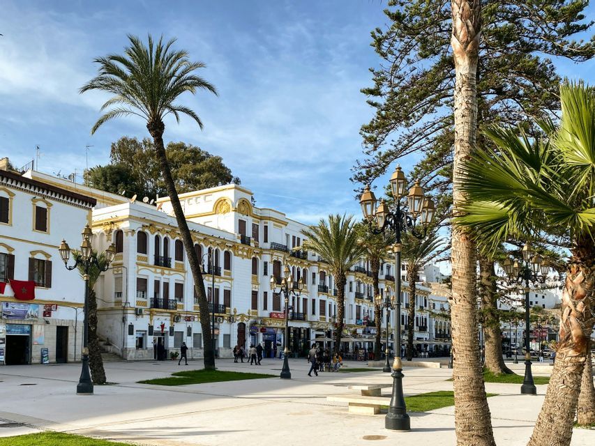 Una plaza de ciudad amplia y soleada, flanqueada por palmeras y farolas decoradas, con edificios blancos y dorados al fondo.